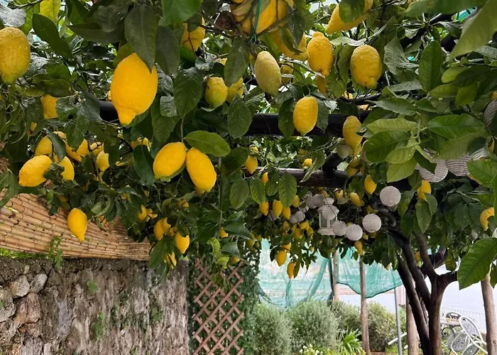 Di Raphael Con Vista Mare أمالفي