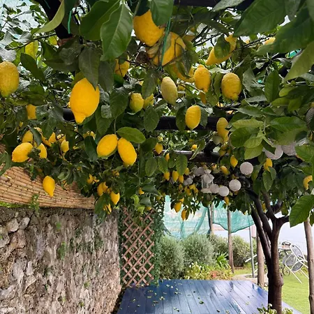 Di Raphael Con Vista Mare 阿马尔菲